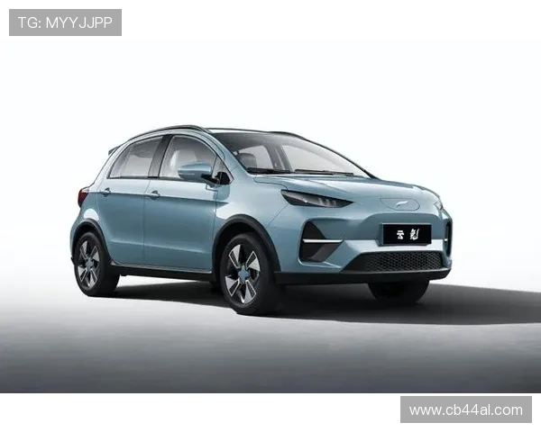 开云体育域名的安全性与稳定性保障措施全面升级，用户体验显著提升